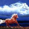Horse N Clouds