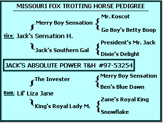 Jack's Absolute Power's Missouri Fox Trotting Horse Pedigree