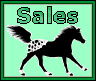 appaloosa for sale sign