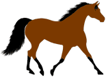 bay foxtrotter horse
