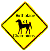 champion birthplace