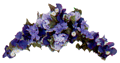 blue floral