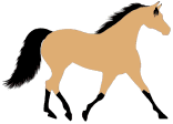 buckskin foxtrotter horse