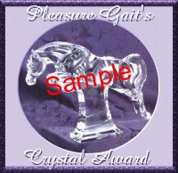 Sample of Crystal Award