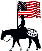 USA flag & appaloosa horse