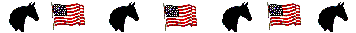 USA flag horse head line