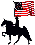 US flag & horse