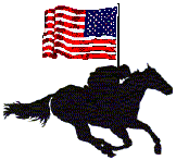 Racehorse with USA Flag