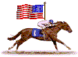 racehorse & US flag