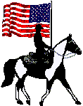 United States of America flag & spotted foxtrotter horse