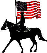US American flag & foxtrotter horse