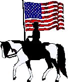 USA flag & spotted western horse