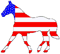 Horse USA Flag
