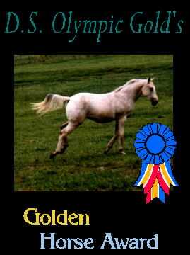 Equine Barn Gold Award