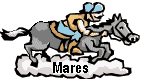 horse on cloud mares