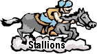 horse on cloud stallions