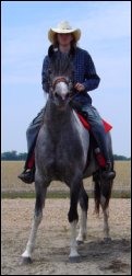 Dark gray & white tobiano mare for sale