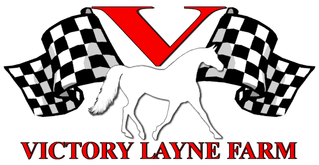 Missouri Foxtrotter Horses for sale and stallions at stud - Victory Layne Farm