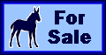 mule foal for sale sign