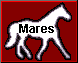maroon mares gif