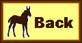 mule back