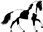 Happy Paint Horse