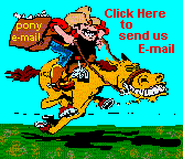 pony express e-mail