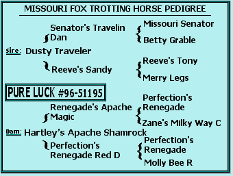 Pure Luck's Missouri Fox Trotting Horse Pedigree