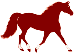 sorrel, chestnut or red foxtrotter horse