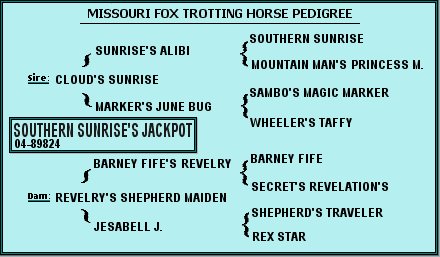 Southern Sunrise's Jackpot Missouri Fox Trotting Horse Pedigree