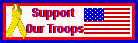 Support Our Troops USA Flag