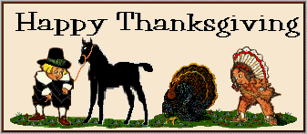 Thanksgiving Horse Banner/Header