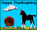 Thanksgiving Foal