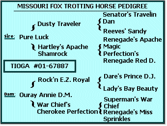 Tioga's Missouri Fox Trotting Horse Pedigree