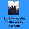 All Around Horses Weekly Award