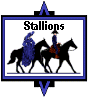 stallions button