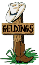 Cowboy Western Geldings Sign