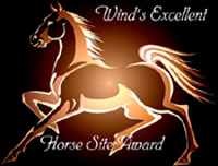 Windh's Excellent Horse Homepage Award