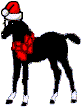 Christmas Black Foal