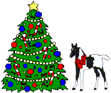 Christmas Tree & Pinto Foal Gift